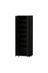 Shoe Storage| FUFU&GAGA 2-Door Shoes Cabinet in Black - MD86467