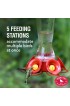 Bird & Wildlife| Perky-Pet Favored Pinch-Waist Red Glass Nectar Hummingbird Feeder - WQ08539