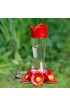 Bird & Wildlife| Perky-Pet Favored Pinch-Waist Red Glass Nectar Hummingbird Feeder - WQ08539