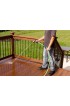 Garden Hoses| Rain Bird PGH50 5/8-in x 50-ft Premium-Duty Kink Free Rubber Green Hose - ND30752