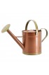 Watering Cans| Arcadia Garden Products Classic Bronze 1.3-Gallon Bronze Metal Classic Watering Can - CD91364