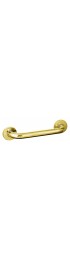 Grab Bars| evekare Standard grab bar Gold Wall Mount (Ada Compliant) Grab Bar (550-lb  Weight Capacity) - VN70499