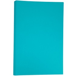 Paper| JAM Paper JAM Paper® Matte Tabloid Paper, 11-in x 17-in, Sea Blue, 100/pack - QD47748