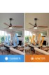 | Clihome Ceiling fans 52-in Matte LED Indoor Ceiling Fan with Light Remote (3-Blade) - SR28614