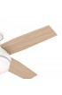 | Hunter Dempsey 44-in Fresh White LED Indoor/Outdoor Flush Mount Ceiling Fan with Light Remote (4-Blade) - PV55995