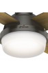 | Hunter Dempsey 44-in Noble Bronze LED Indoor Flush Mount Ceiling Fan with Light Remote (4-Blade) - MI60430