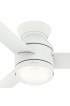 | Hunter Dublin 44-in Matte White LED Indoor Flush Mount Ceiling Fan with Light Remote (3-Blade) - FU38239