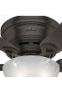 | Hunter Haskell 42-in Premier Bronze LED Indoor Flush Mount Ceiling Fan with Light (5-Blade) - PJ21016