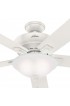 | Hunter Regalia 60-in Fresh White LED Indoor Ceiling Fan with Light (5-Blade) - PN32125