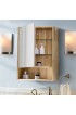 Medicine Cabinets| undefined Medicine cabinet 20-in x 27-in Surface Rubber Wood Mirrored Square Medicine Cabinet - JA37023