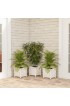 Planters, Stands & Window Boxes| Nature Spring Large (25-65-Quart) 14.75-in W x 13-in H White Plastic Planter with Drainage Holes - ZN37626