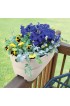 Planters, Stands & Window Boxes| undefined Large (25-65-Quart) 23.75-in W x 10.5-in H Sand Plastic Railing Planter - OQ59502