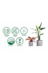 Planters, Stands & Window Boxes| Vita Large (25-65-Quart) 9.88-in W x 21-in H Stone Plastic Self Watering Planter with Drainage Holes - VH75638