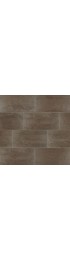 Tile| American Olean Theoretical 8-Pack Absolute Brown 12-in x 24-in Matte Porcelain Cement Look Floor and Wall Tile - RO96285