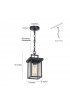 Pendant Lighting| LNC Pict Matte Black and Clear Seeded Glass Modern/Contemporary Clear Glass Lantern LED Mini Outdoor Pendant Light - OR56208