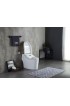 Toilets| Runfine Harper White Dual Flush Elongated Chair Height Toilet 12-in Rough-In Size with Bidet (Ada Compliant) - FN65923