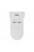 Toilets| Swiss Madison Burdon Glossy White Dual Flush Elongated Chair Height Toilet 12-in Rough-In Size - FN86757