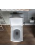 Toilets| Woodbridge Modern White with Matte Black Button Dual Flush Square Chair Height WaterSense Toilet 12-in Rough-In Size - RN73995