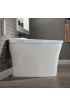 Toilets| Woodbridge Victoria White Dual Flush Elongated Chair Height Smart WaterSense Toilet 12-in Rough-In Size with Bidet - BJ19866