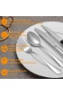 60 Pcs Silverware Set with Steak Knives Service for 10,Stainless Steel Flatware Set,Mirror Polished Cutlery Utensil Set,Home Kitchen Eating Tableware Set,Include Fork Knife Spoon Set,Dishwasher Safe