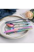 Portable Travel Utensils Silverware set with Case,Reusable Trave Stainless Steel Camping Cutlery set with Chopsticks and Straw Portable Flatware with Case for Office School Picnic BFRainbow
