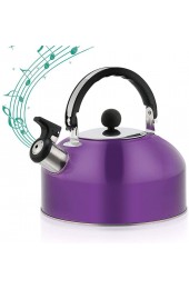 Whistling Tea Kettle 3 L Food Grade Stainless Steel Tea Pots for Stove Top Hot Water Fast To Boil Cool Grip Ergonomic Handle Loud Whistle and Anti-Rust Water Kettle for Home purple