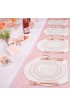 BBG 60Pcs Rose Gold Plastic Plates Fancy Disposable Party Plates Clear Plates with Rose Gold Rims Includes 30 Dinner Plates 10.25 30 Salad Plates 7.5 Ideal For Mother's Day Wedding Baby Show