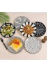 Black Plate Set 8 Inch Salad Plates | Dessert Appetizer Plates Porcelain Lunch Plates Set of 6 Dishwasher and Microwave Safe