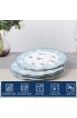fanquare 10 Inch Porcelain Dinner Plates Set of 4 Lace Dishes Set for Salad Pasta Soup Dessert Blue Roses