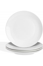 Set of 4 Dinner Plates 10.5 inch White Plates Stoneware Dinnerware Set Microwave and Dishwasher Safe Large Four Piece Dish Set for Dinner by Heartland Hive
