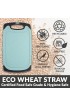 KLEX EcoWheat Cutting Board for Kitchen Set of 3 BPA Free Food Safe Wheat straw PP material 3 Size Chopping Boards Set Dishwasher Safe Juice Groove Non-Slip Design with Easy Grip Handle Blue