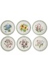 Portmeirion Dinnerware Botanic Garden 30 Piece Earthenware Dish Set Service for 6 Includes Dinner Plate Side Plate Mug Soup Bowl and Pasta Bowl