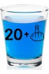 21st Birthday Shot Glass 21 + Middle Finger Funny Birthday Gifts For Him Or Her Silly Bday Decorations For Men Women daughter Sister Best Friend Co-Worker Twenty One Birthday Shot Glass