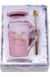 Jumway Not A Day Over Fabulous Mug Birthday Gifts for Women Funny Birthday Gift Ideas for Her,Friends Coworkers Her Wife Mom Daughter Sister Aunt Ceramic Marble Mug 14 Oz Pink
