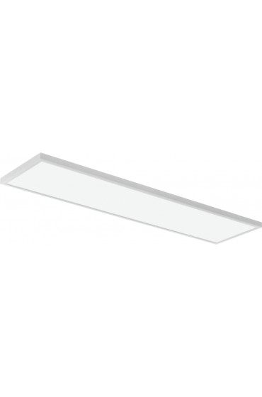 LED Panel Lights| Lithonia Lighting 4-ft x 2-ft Adjustable Switchable LED Panel Light - BH90569