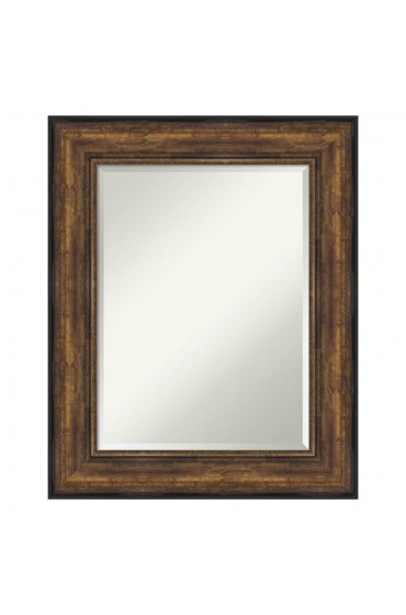 | Amanti Art Ballroom Bronze Frame Collection 25.5-in W x 31.5-in H Burnished Bronze Rectangular Bathroom Mirror - XK28097