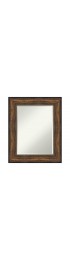 | Amanti Art Ballroom Bronze Frame Collection 25.5-in W x 31.5-in H Burnished Bronze Rectangular Bathroom Mirror - XK28097