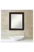 | Amanti Art Carlisle Espresso Frame Collection 20-in W x 24-in H Matte Brown Rectangular Framed Bathroom Mirror - ZF25761