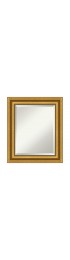 | Amanti Art Parlor Gold Frame Collection 21.62-in W x 25.62-in H Antique Gold Rectangular Bathroom Mirror - CI52470