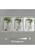 | WELLFOR LED bathroom mirror 28-in W x 36-in H LED Lighted White Rectangular Fog Free Frameless Bathroom Mirror - VF36034