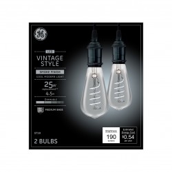 Decorative Light Bulbs| GE Vintage 25-Watt EQ ST19 Daylight Dimmable Decorative Light Bulb (2-Pack) - KU65368