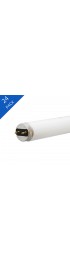 Fluorescent Light Bulbs| GE 17-Watt 24-in Medium Bi-pin (T8) 6500 K Daylight Fluorescent Light Bulb (24-Pack) - DV79068