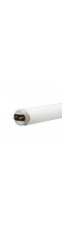 Fluorescent Light Bulbs| GE Ecolux 28-Watt 48-in Medium Bi-pin (T8) 3500 K Warm White Fluorescent Light Bulb (36-Pack) - DJ41821