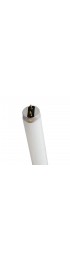 Fluorescent Light Bulbs| GE Ecolux Starcoat 32-Watt 48-in Medium Bi-Pin (T8) 3500 K Bright White Fluorescent Light Bulb (36-Pack) - ST25230