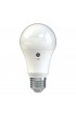 General Purpose LED Light Bulbs| GE Basic 60-Watt EQ A19 Daylight LED Light Bulb (16-Pack) - ER44719