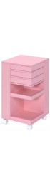 | ACME FURNITURE Nariah 13-in W x 25-in H Wood Composite Pink Freestanding Utility Storage Cabinet - WE15020