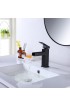 Bathroom Sink Faucets| WELLFOR Deck mount bath faucet Matte Black 1-Handle Single Hole Bathroom Sink Faucet with Deck Plate - EV56454