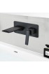 Bathroom Sink Faucets| WELLFOR Wall mount bathroom tub faucet Matte Black 1-Handle Wall-mount Bathroom Sink Faucet - WM14885