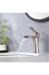 Bathroom Sink Faucets| WELLFOR ZY Bathroom Faucet Brushed Nickel 1-handle Single Hole Bathroom Sink Faucet - UF52618