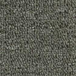 Carpet| Shaw Lancaster RR Granite Berber/Loop Carpet (Indoor) - NW62937